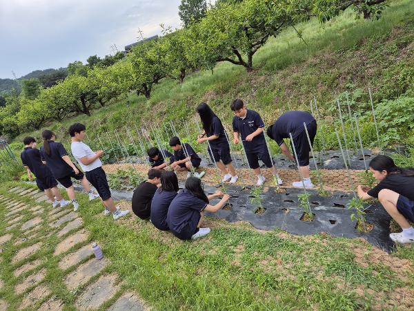 텃밭교육 활동